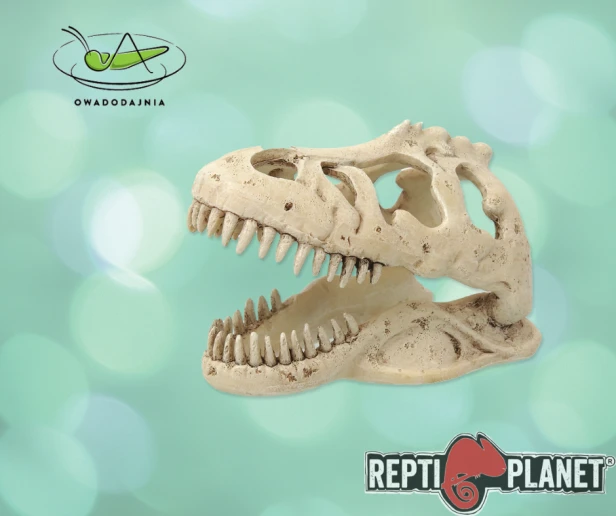 trex.png