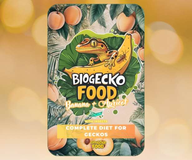 Bio Gecko Apricot.png